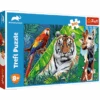 Trefl 23007 Animal Planet Hübsche Tiere 300 Teile Puzzle -Berühmter Spielzeug Geschäft 23007 150 01