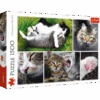 Trefl 26145 Nur Katzensachen Collage 1500 Teile Puzzle -Berühmter Spielzeug Geschäft 26145 150 01