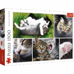Trefl 26145 Nur Katzensachen Collage 1500 Teile Puzzle