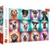 Trefl 27119 Lustige Hunde Im Porträt II 2000 Teile Puzzle -Berühmter Spielzeug Geschäft 27119 box
