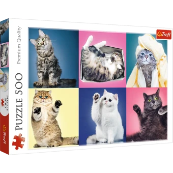Trefl 37377 Katzen 500 Teile Puzzle 3 Trefl 37377 Katzen 500 Teile Puzzle