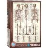 EuroGraphics 6000-3970 Das Skelett 1000-Teile Puzzle -Berühmter Spielzeug Geschäft 6000 3970