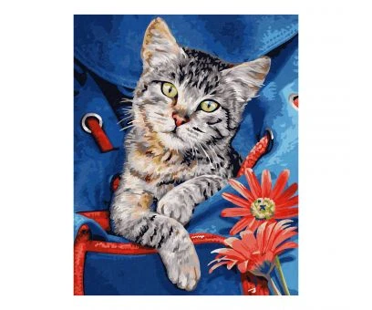 Schipper 609240842 Malen Nach Zahlen Katze Im Rucksack 24x30cm 4 Schipper 609240842 Malen Nach Zahlen Katze Im Rucksack 24x30cm – Bild 2