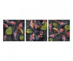 Schipper 609470860 Koi - Juwel Im Fischteich Malen Nach Zahlen 5 Schipper 609470860 Koi - Juwel Im Fischteich Malen Nach Zahlen -Berühmter Spielzeug Geschäft koi juwel im fischteich 609470860 de 00