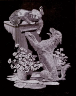 Hund Und Katze Kratzbild Silber Mit Rahmen