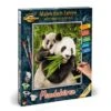 Schipper 609240712 Pandabären Malen Nach Zahlen -Berühmter Spielzeug Geschäft original 609240712 4
