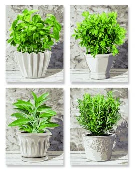 Schipper 609340687 Küchenkräuter (Quattro) Malen Nach Zahlen 4 Schipper 609340687 Küchenkräuter (Quattro) Malen Nach Zahlen – Bild 2