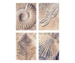 Schipper 609340876 Fossilien Malen Nach Zahlen -Berühmter Spielzeug Geschäft original 609340876 5