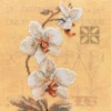 Lanarte PN-0008008 Orchideen Kreuzstichpackung 1 Lanarte PN-0008008 Orchideen Kreuzstichpackung -Berühmter Spielzeug Geschäft pn 0008008