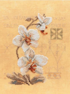 Lanarte PN-0008008 Orchideen Kreuzstichpackung