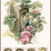 Lanarte PN-0008031 Kreuzstichpackung Zählmusterpackung Vogelhaus Mit Rosen -Berühmter Spielzeug Geschäft pn 0008031 1
