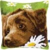 Vervaco Kreuzstichkissen PN-0153855 Brauner Labrador -Berühmter Spielzeug Geschäft pn 0153855