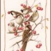 Lanarte PN-0162298 Vögel Mit Johannesbeeren Kreuzstichpackung 2 Lanarte PN-0162298 Vögel Mit Johannesbeeren Kreuzstichpackung -Berühmter Spielzeug Geschäft pn 0162298
