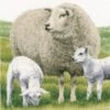 Lanarte PN-0170416 Wunderbare Schafe Kreuzstichpackung -Berühmter Spielzeug Geschäft pn 0170416