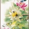 Lanarte PN-0196182 Zählmusterpackung Lilien Und Frösche 1 Lanarte PN-0196182 Zählmusterpackung Lilien Und Frösche -Berühmter Spielzeug Geschäft pn 0196182 1